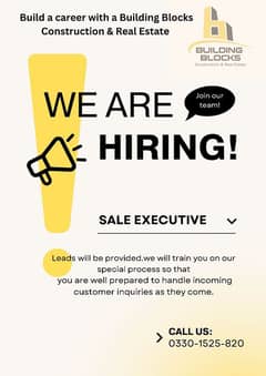 Sale Executive