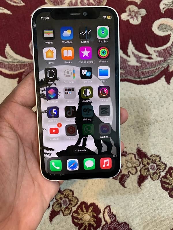 iPhone 12 mini 5