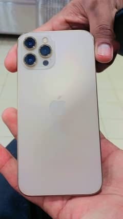 iPhone  12 pro Max Gold Colour 10 by 10