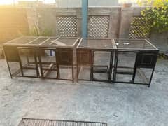 Profesional birds cage