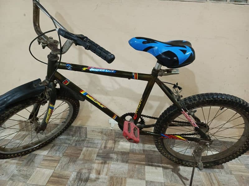 cycle 3