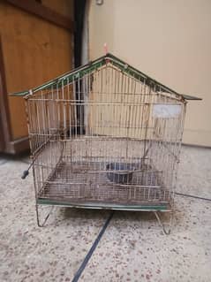 Iron Made Parrot Cage - 1.5 ft Width x 2 ft Length