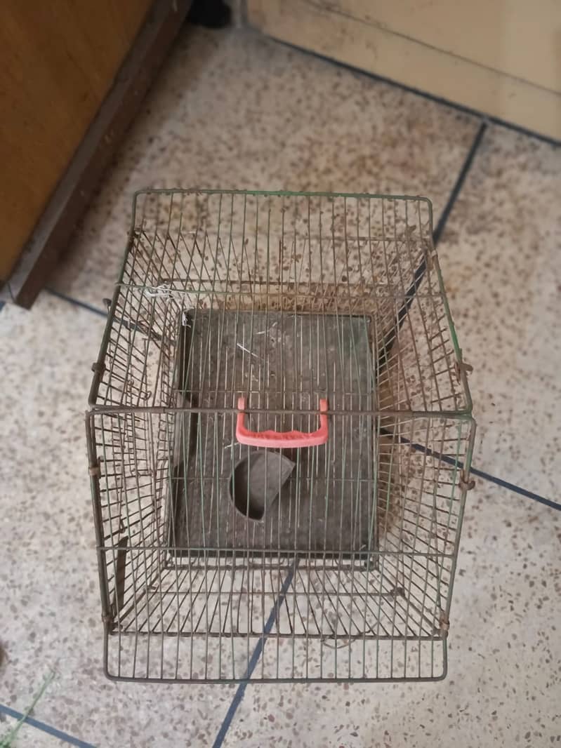 Iron Made Parrot Cage - 1.5 ft Width x 2 ft Length 1