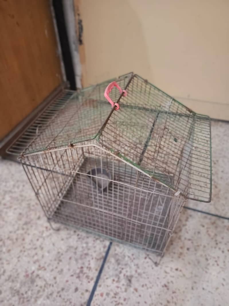 Iron Made Parrot Cage - 1.5 ft Width x 2 ft Length 2