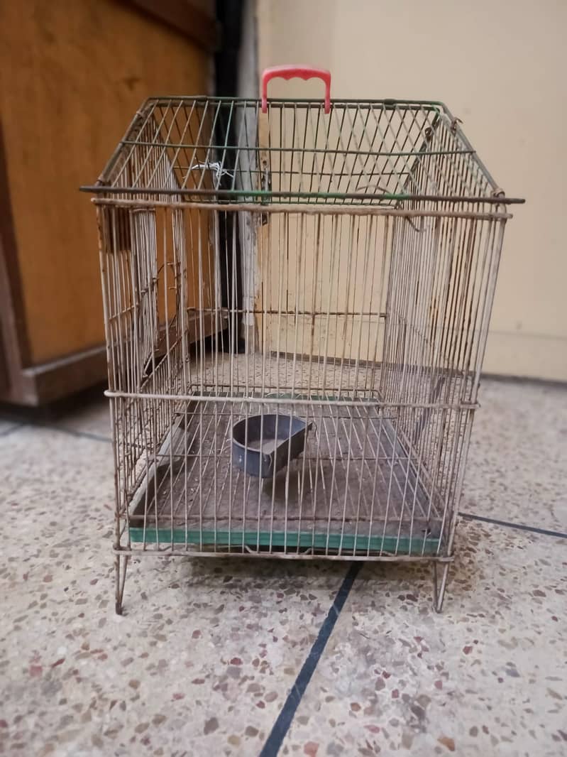 Iron Made Parrot Cage - 1.5 ft Width x 2 ft Length 3