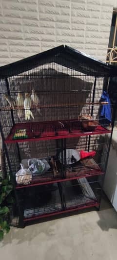 brids big size cage new Condition