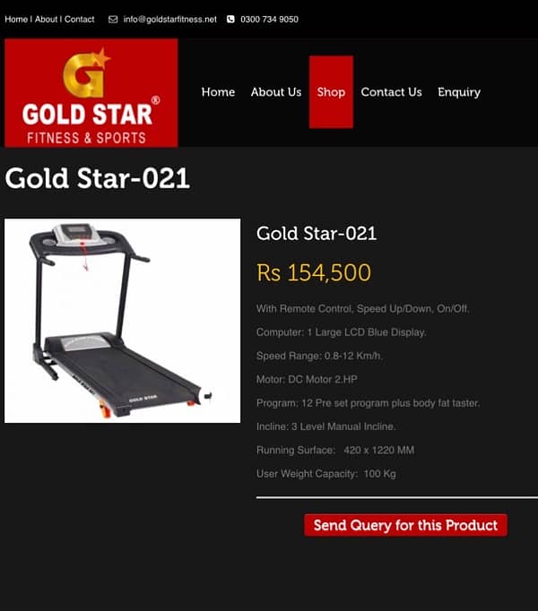 Gold Star 021 treadmill 3