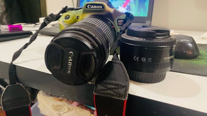 Canon 1300d with 50mm youngnu and 75/300 canon lens 1