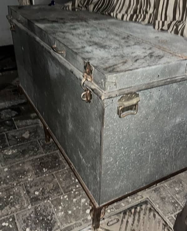 Storage trunk ( PATTI) 1