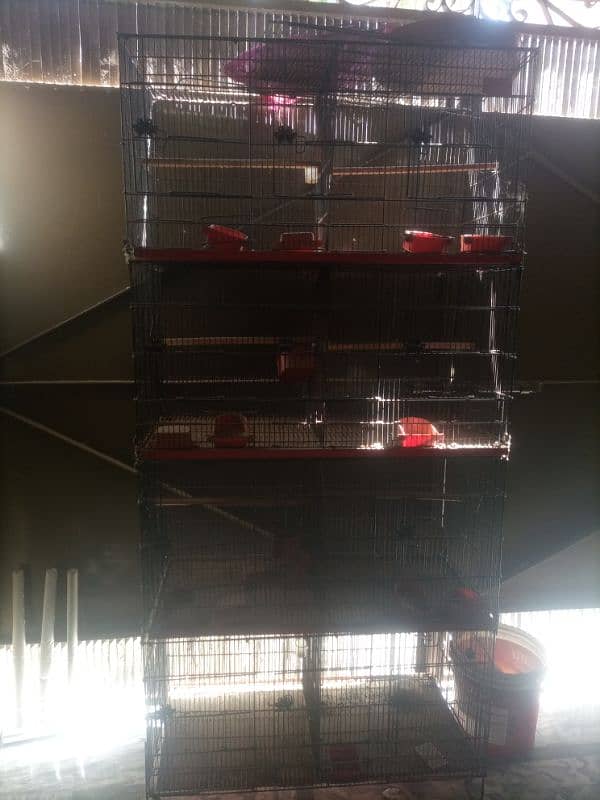 Cage for sale 1