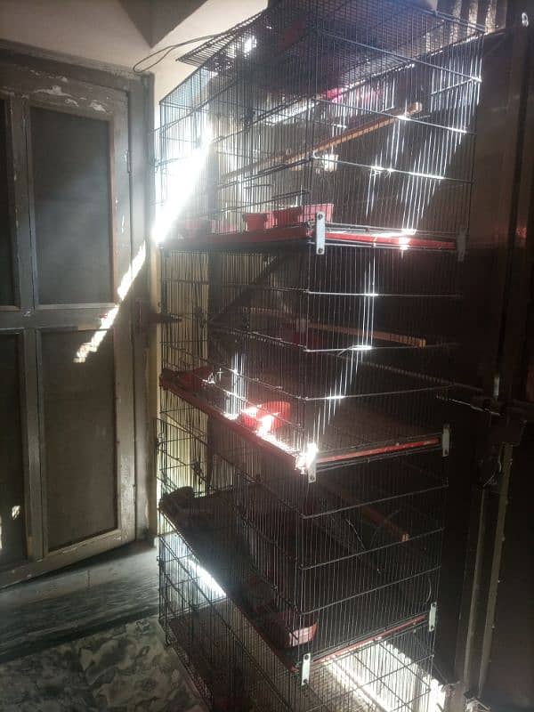 Cage for sale 2