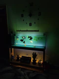 Brand new aquarium for sale