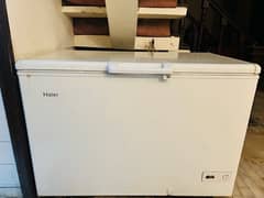 Haier Freezer