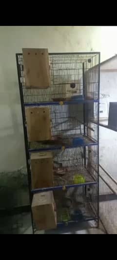 java. finch. . . cage. .