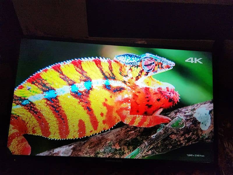 changhong ruba LCD for sale 43 inch with android device of PTCL 3