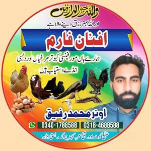 Afnan Farm