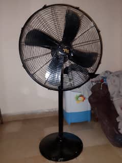 Vital Pedestal Fan