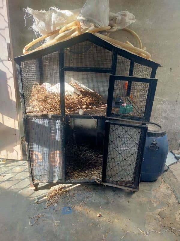 iron double portion cage / strong Hen cage / Aseel Cage pinjra 5