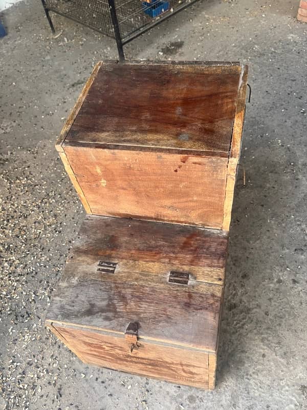 GREY PARROT / BIRD L SHAPE WOODEN BREEDING BOX 3