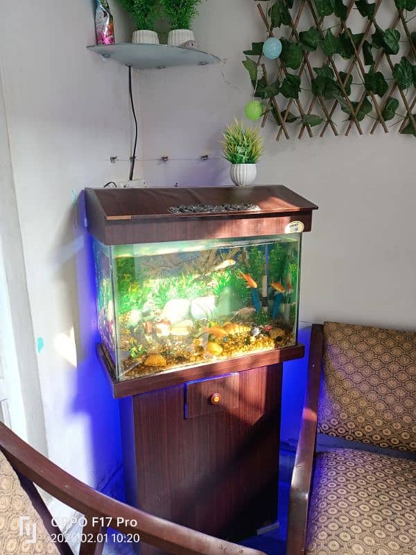 aquarium for sale 0