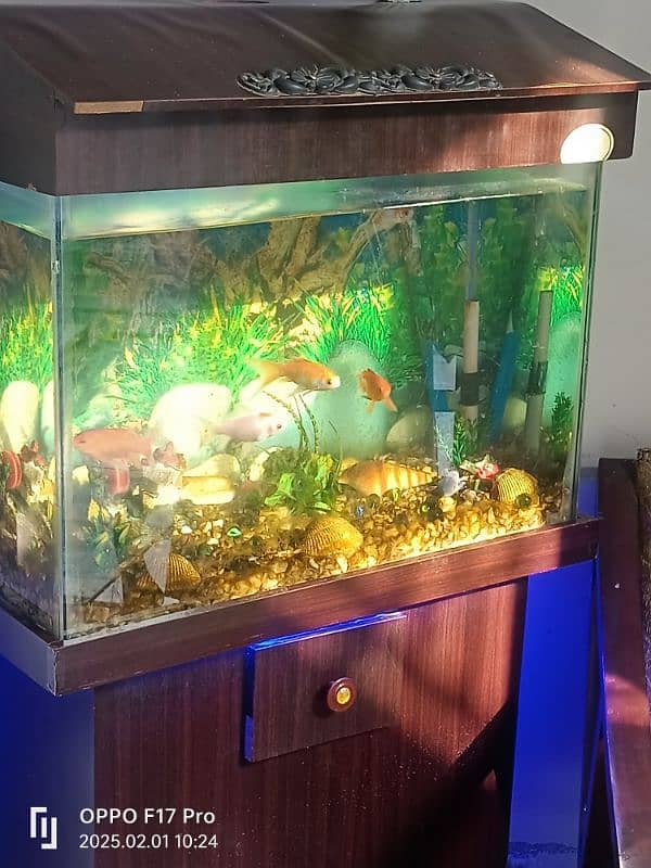 aquarium for sale 3