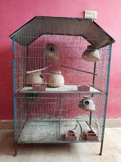 BIRD CAGE