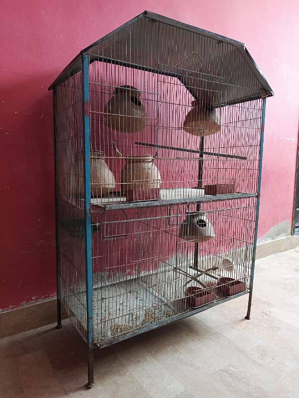 BIRD CAGE 1