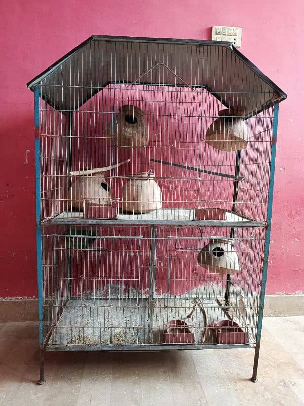 BIRD CAGE 2