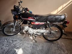 Honda CD 70 Model 2024 for sale