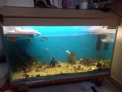 fish aquarium complete set for sale