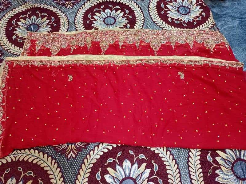 Bridal lehenga kurti 2