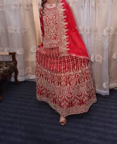 bridle lehnga