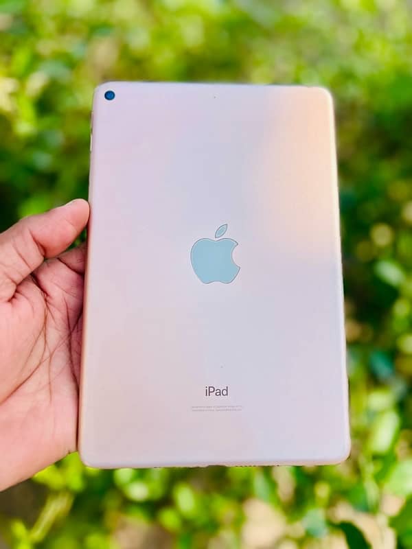 IPad Mini5 64GB Gold 3