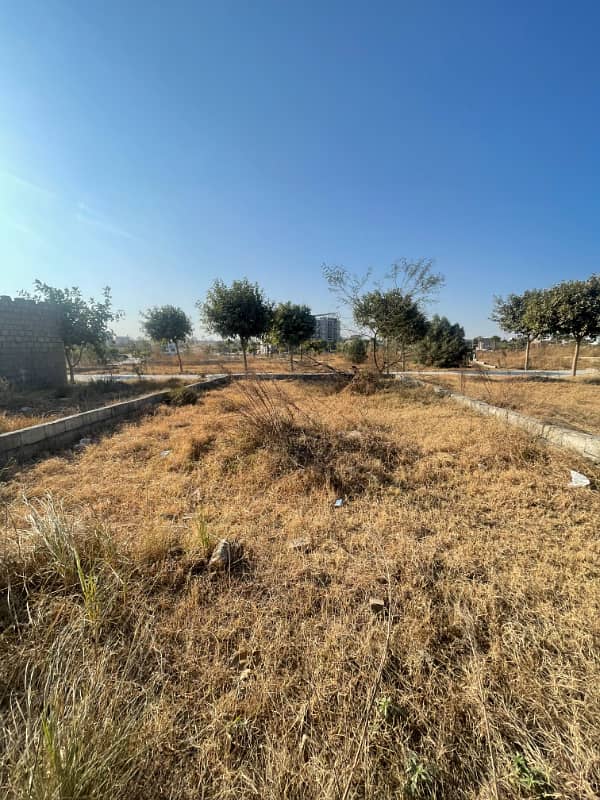 Zamar Valley plot for sale 2