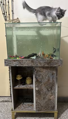 Fish Aquarium (complete setup)