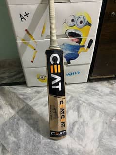 Grade 2 player edition bat