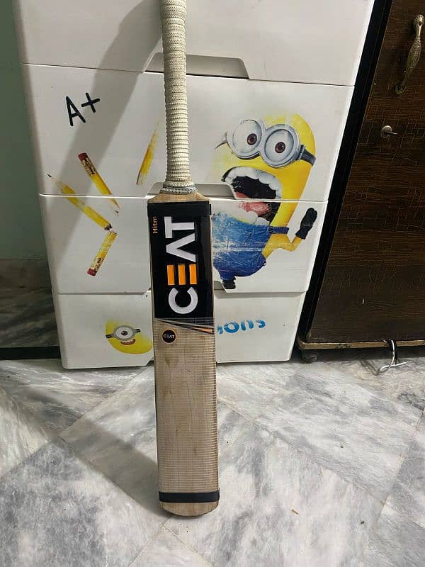 Grade 2 player edition bat 1