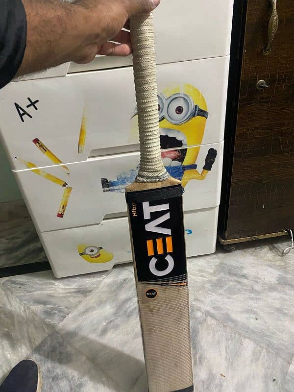 Grade 2 player edition bat 2