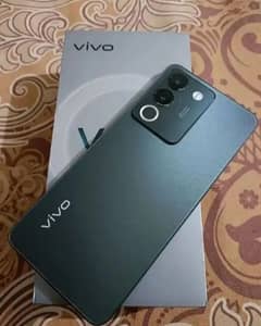 Vivo V29e 8+8/255 gb