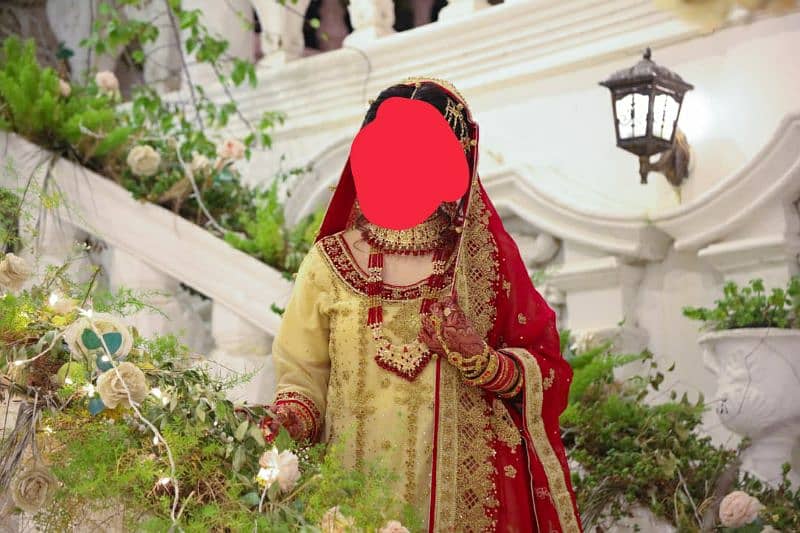 Lehenga Pure Chafoon Cory Aur Dabky Kaam hoa he Farshi lehenga hai 4