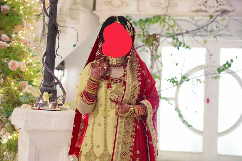 Lehenga Pure Chafoon Cory Aur Dabky Kaam hoa he Farshi lehenga hai 5