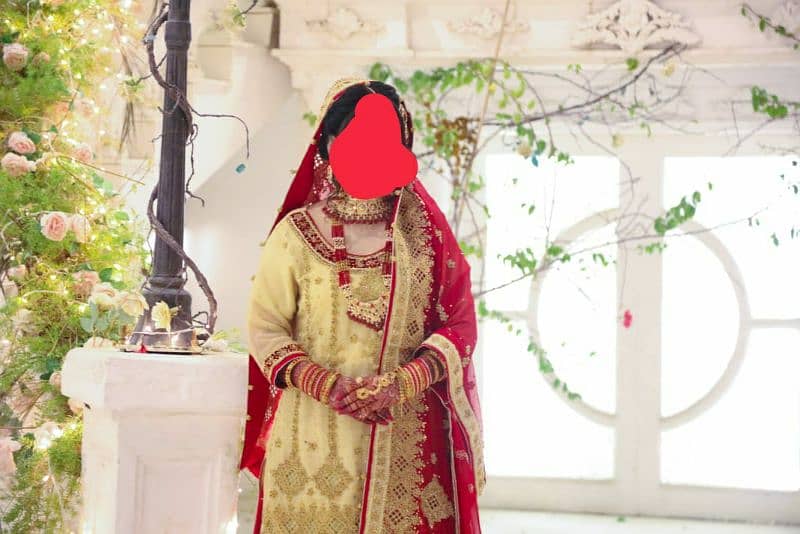 Lehenga Pure Chafoon Cory Aur Dabky Kaam hoa he Farshi lehenga hai 6