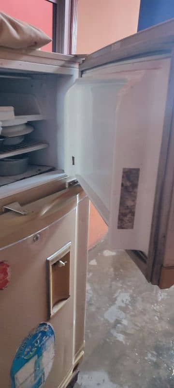 Pel refrigerator For sale 5