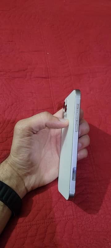 iPhone 12 Pro 256 Dual pta 10/10 1