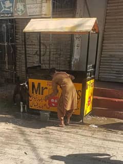 French Fries Stall for Sell with Whole Samaan