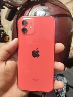 iphone 12 Red Color