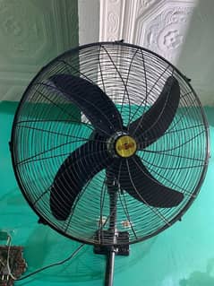 fan black colour