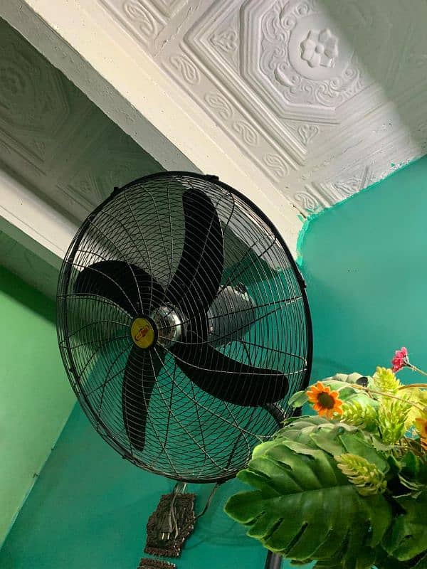 fan black colour 1