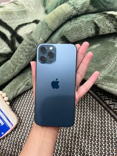 iphone 12 pro max pta approved