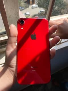 iphone xr in v. good condition